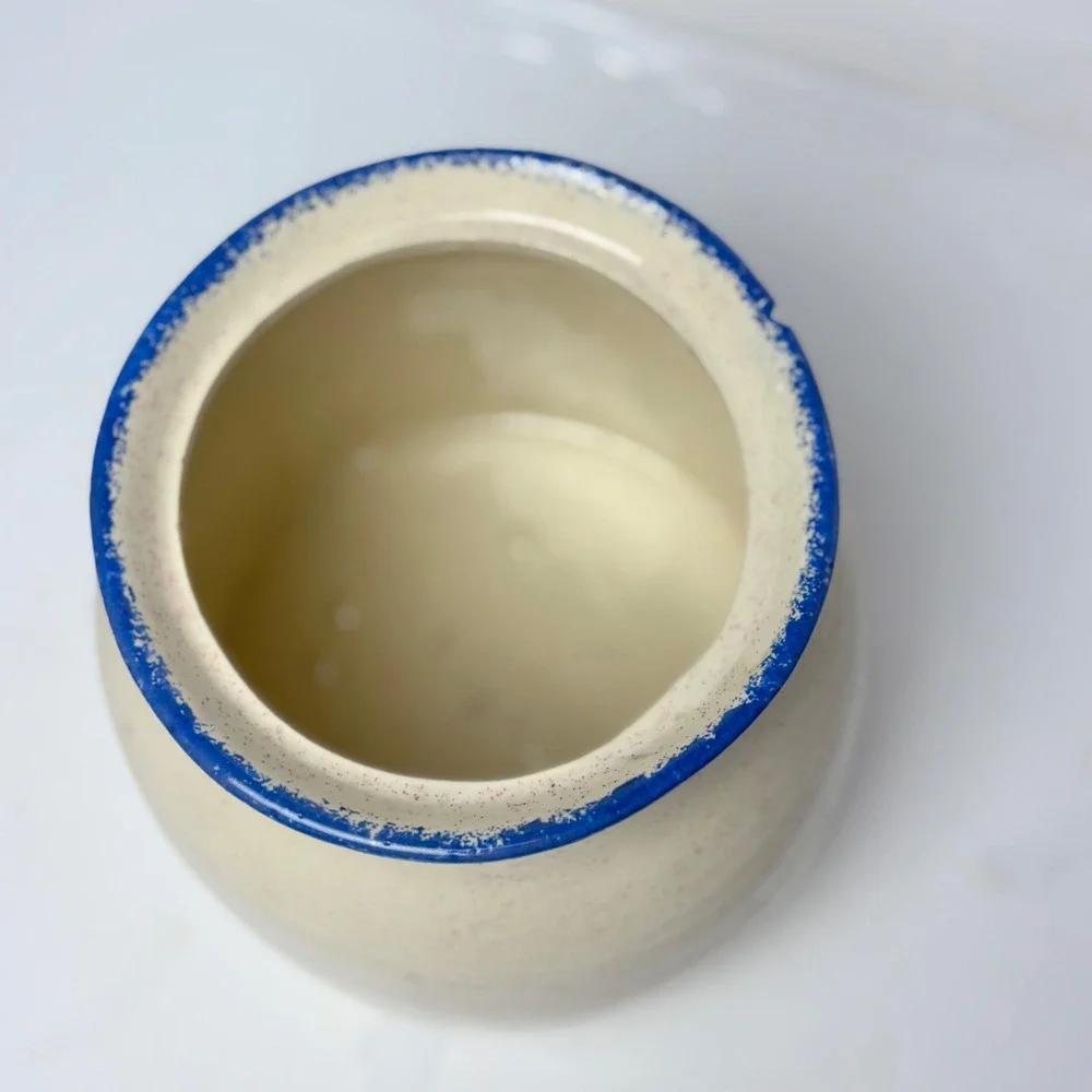 Vintage Style Speckled Stoneware‎ Apple Cookie Jar Canister Farmhouse Blue Cream